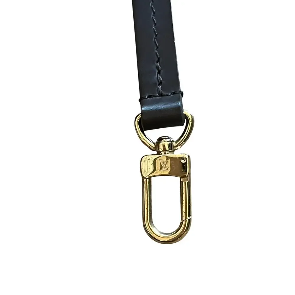 Louis Vuitton Damier Ebene Etui Okapi PM Crossbody Bag Pouch